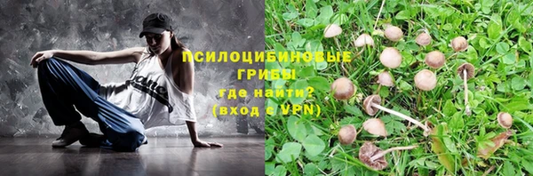 соль ск Балабаново