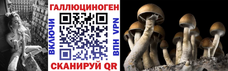 Псилоцибиновые грибы прущие грибы Каневская